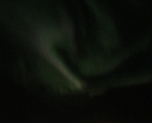 Olimpija triatlon klub - Armin